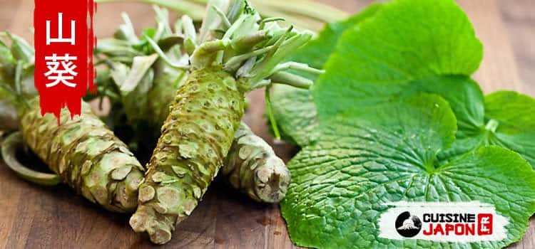 Wasabi, condiment incontournable au Japon - Cuisine Japon