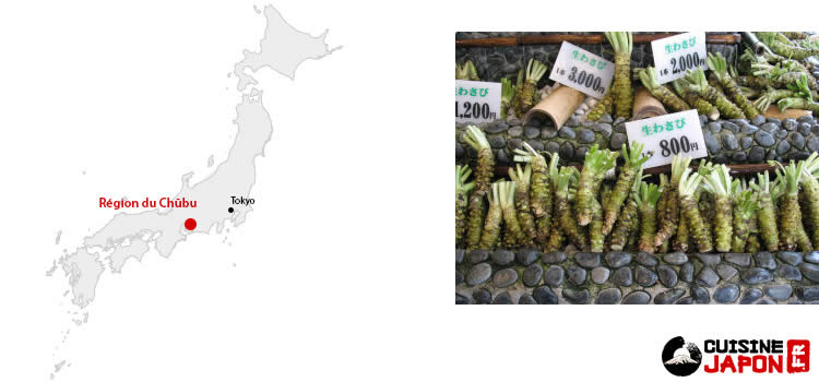 A la découverte du wasabi, l'or vert japonais