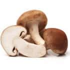 umami champigon shiitake