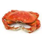 umami crabe