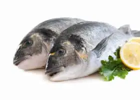 sushi france pauvre poisson