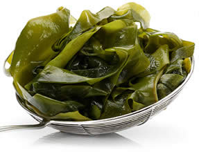 Algue wakame