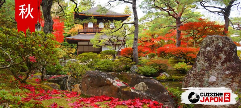 automne japon