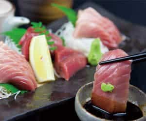 sashimi