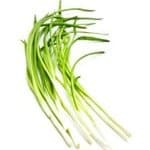 negi