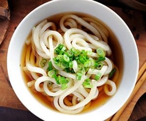 udon negi