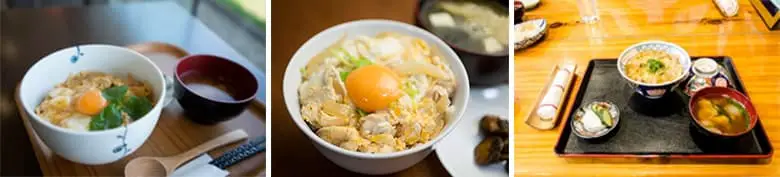 oyakodon plat japonais