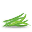 haricot vert