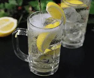 cocktail japonais highball