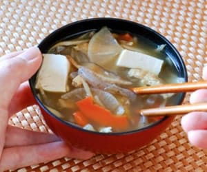 Soupe Kenchinjiru